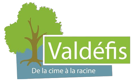 Valdefis